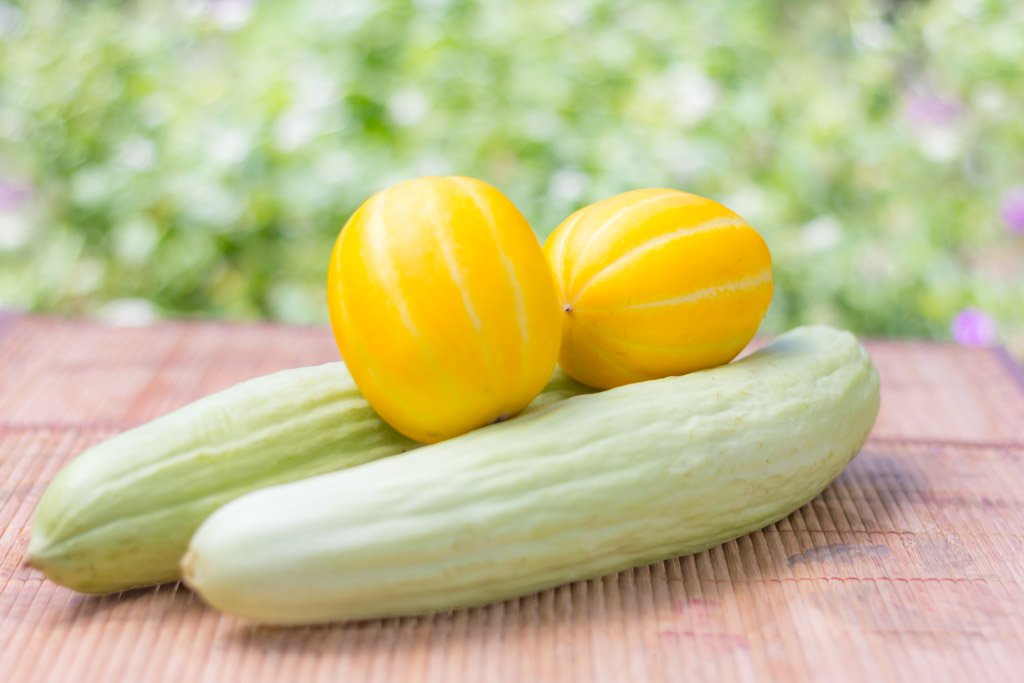 Armenian Cucumbers and Korean Melons