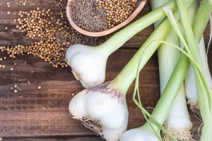 Fresh Springtime Garlic stock ingredients:, Spring garlic; green garlic, coriander and cumin seeds on a board