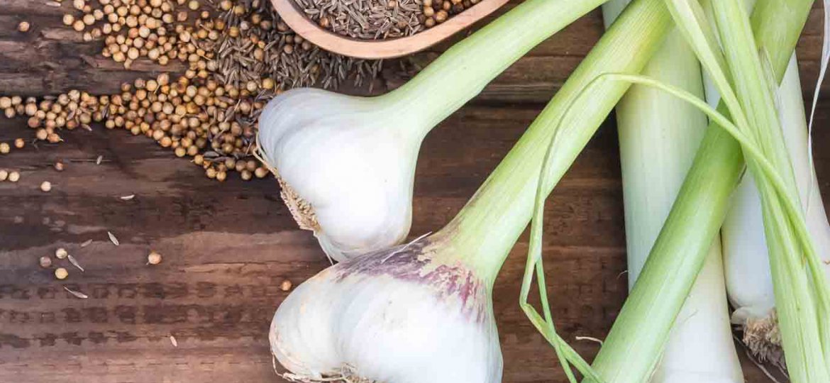 Fresh Springtime Garlic stock ingredients:, Spring garlic; green garlic, coriander and cumin seeds on a board